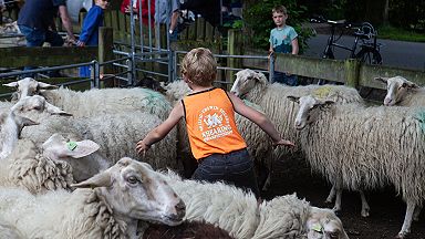 Schaapscheerdersfeest